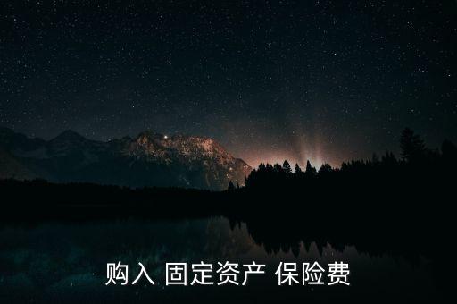 購入 固定資產(chǎn) 保險(xiǎn)費(fèi)