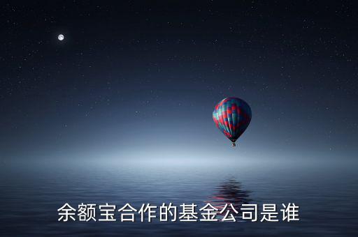 余額寶投資過什么公司，余額寶合作的基金公司是誰