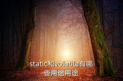 vtm有什么用，static和volatile有哪些用途用途