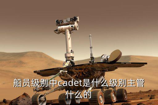 中船總經(jīng)理什么級別，中國船舶總公司總經(jīng)理啥級別
