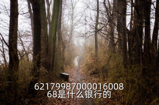 中債資信屬于什么銀行，6217998700001600868是什么銀行的