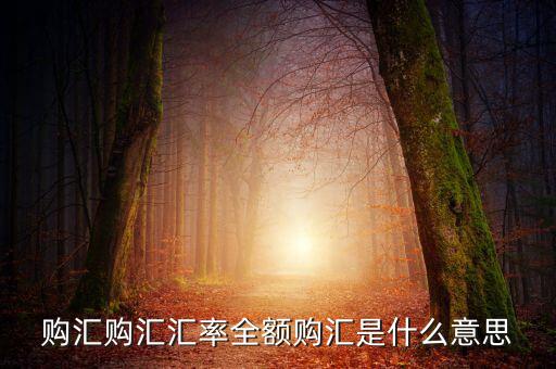 全額匯購(gòu)是什么意思，什么叫全額結(jié)匯