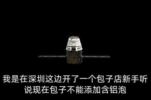 包子禁止添加什么，我是在深圳這邊開了一個包子店新手聽說現(xiàn)在包子不能添加含鋁泡