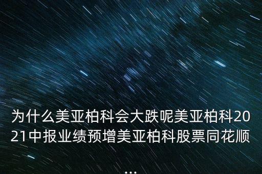 美亞桕科怎么停盤了呢,網絡安全優(yōu)質企業(yè)美亞貝克正式成立