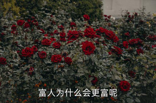 富人為什么越來(lái)越富，為什么富人越來(lái)越富