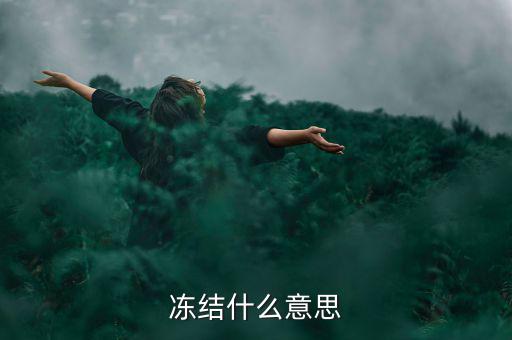 閃電貸凍結(jié)是什么意思，閃電借款什么叫凍結(jié)百分之80的額度意思是信用卡里面額度要多少錢
