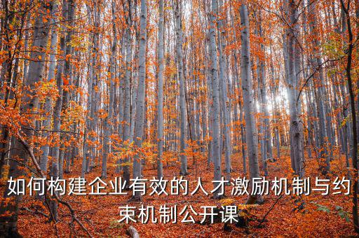 財(cái)務(wù)激勵與約束機(jī)制的設(shè)計(jì)原則是什么，財(cái)務(wù)激勵約束機(jī)制的概念是什么