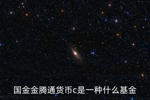 國金金騰通貨幣c是一種什么基金