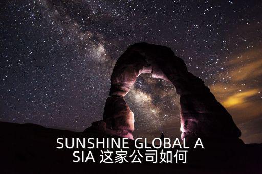 永信亞洲有限公司主要業(yè)務是什么，SUNSHINE GLOBAL ASIA 這家公司如何
