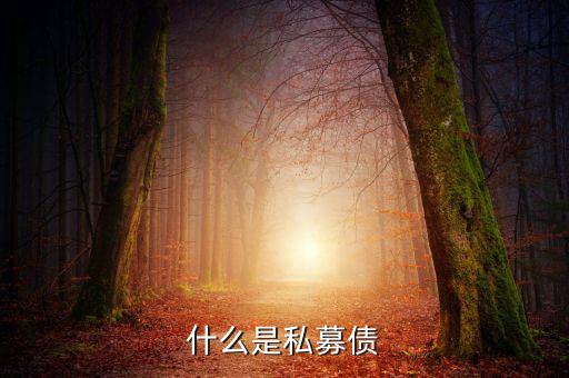 什么是小貸公司私募債，什么是私募債