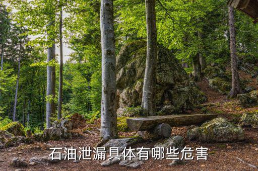 原油泄漏影響什么部門，石油泄漏具體有哪些危害