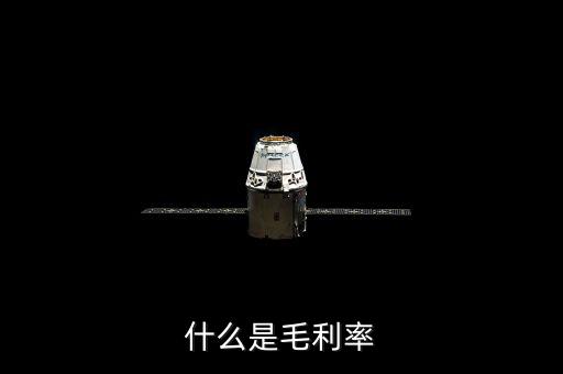 毛利率是什么，毛利率是什么意思