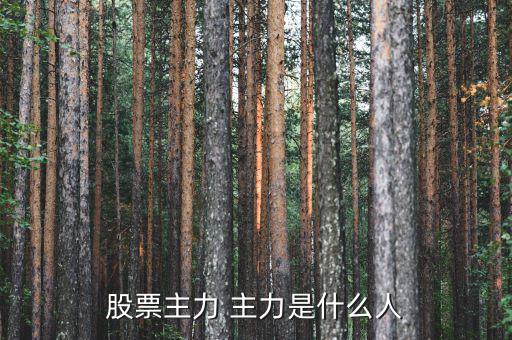 炒股的都是什么人，什么樣的人才是炒股的高手