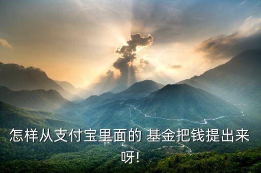 余額寶買(mǎi)基金怎么贖回,怎么從支付寶買(mǎi)基金來(lái)理財(cái)?