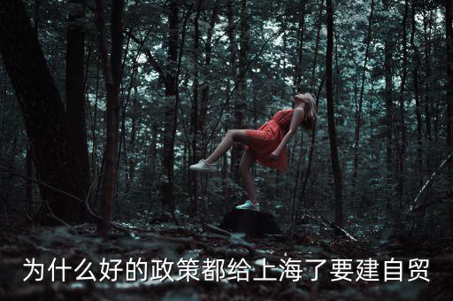 為什么要設立上海自貿(mào)區(qū)，上海自貿(mào)區(qū)成立的目的