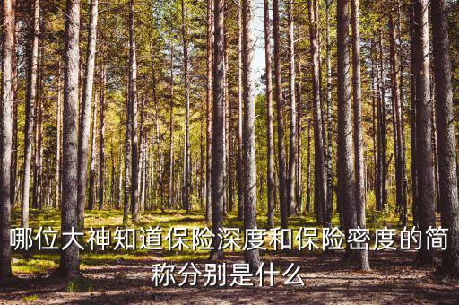 什么叫保險密度，保險深度與密度是什么