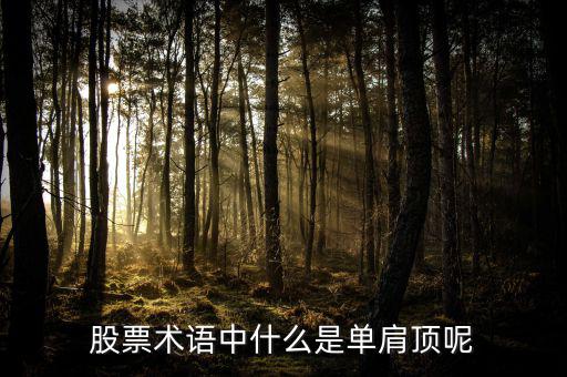 復(fù)肩頂股票里什么意思，頭頂肩在股市中是什么意思