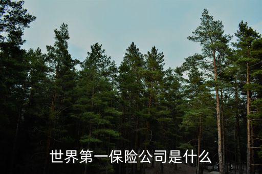 世界上第一家保險公司叫什么，世界第一保險公司是什么