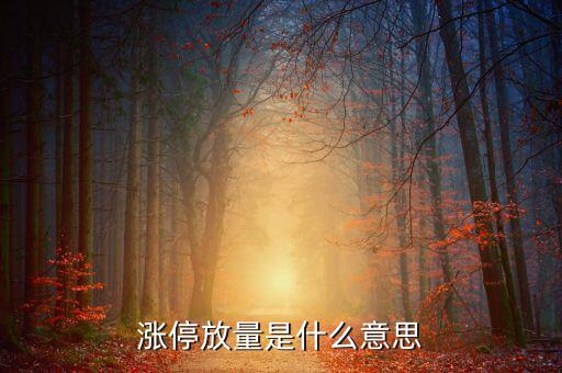 天量漲停意味著什么，放天量的漲停板意味著什么是不是意味著后市一定是一路走低的