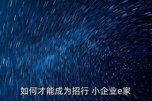 小企業(yè)e家怎么樣,招商銀行推出互聯(lián)網 小企業(yè)e站