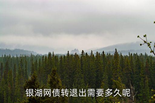 銀湖網(wǎng)投資怎么樣,熊貓金控債權轉讓利息可以自行設定嗎?