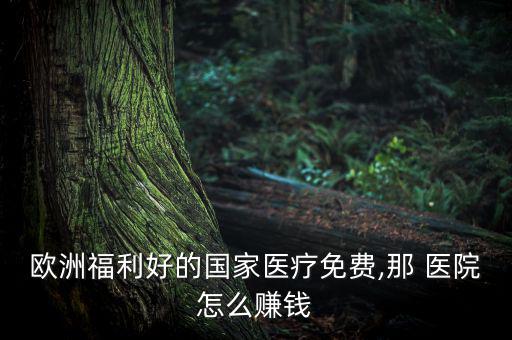 歐洲福利好的國(guó)家醫(yī)療免費(fèi),那 醫(yī)院怎么賺錢