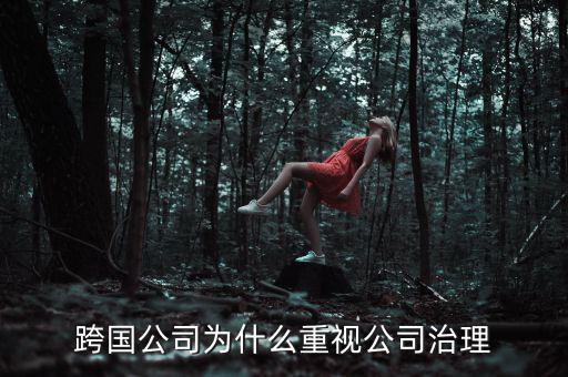 跨國(guó)公司為什么重視公司治理