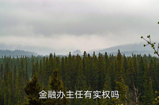 金融辦主任有實權嗎