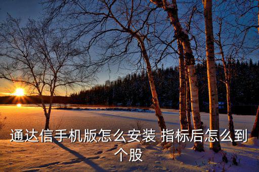通達(dá)信手機(jī)版怎么安裝 指標(biāo)后怎么到個股