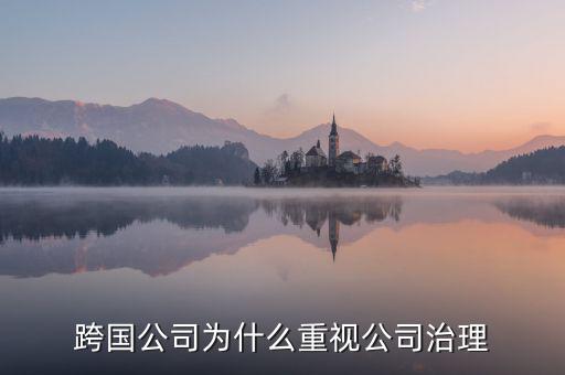 為什么要公司治理，索尼公司為何要進(jìn)行公司治理改革