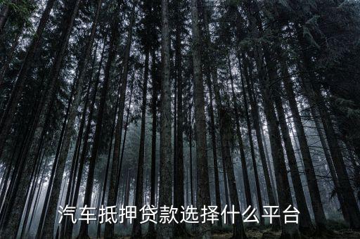 神州易貸怎么樣,財富管理學堂（四）