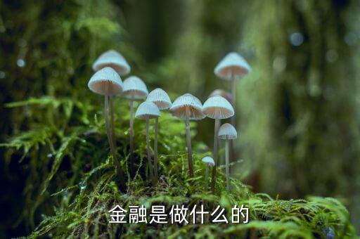 中國(guó)29金融是干什么的，金融是干什么的