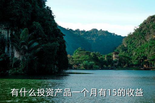15 的收益屬于什么投資，投資理財(cái)年化收益率百分之十五是什么意思