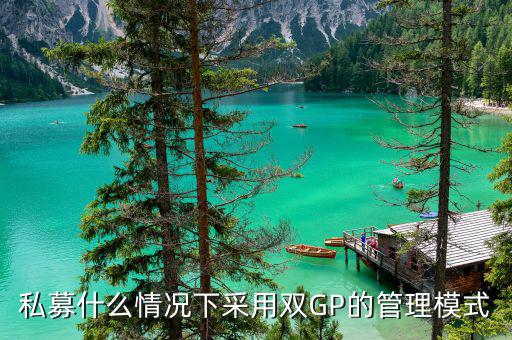 雙gp基金是什么，私募什么情況下采用雙GP的管理模式