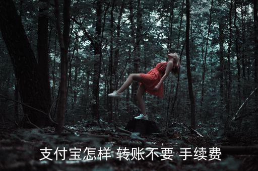  支付寶怎樣 轉(zhuǎn)賬不要 手續(xù)費