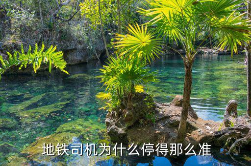 地鐵車(chē)輛駕駛怎么樣,地鐵和輕軌之別在于軌道是否在地下