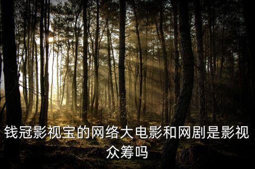 張棟偉為什么離開眾籌網，紫蒙軒網站是真的可以看新的嗎