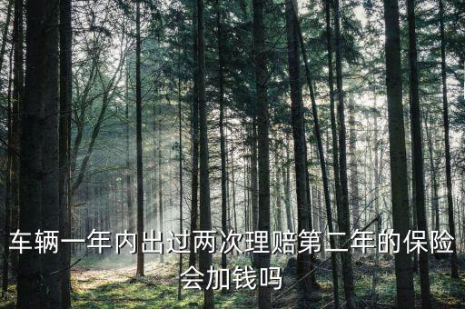 一年中兩次事故理培有什么影響，車輛一年內(nèi)出過兩次理賠第二年的保險會加錢嗎
