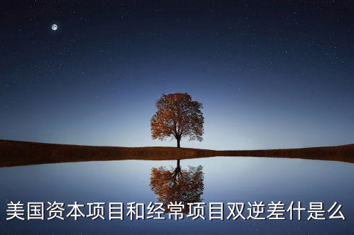 雙逆差是什么意思，逆差是什么意思