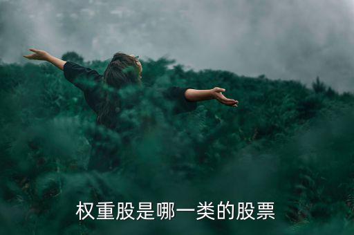 權重股是什么意思，權重股是哪一類的股票
