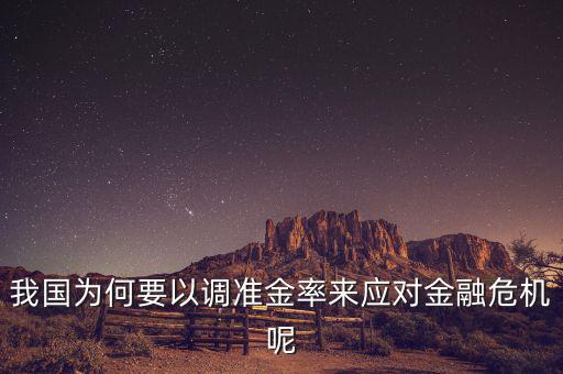 我國為何要以調(diào)準(zhǔn)金率來應(yīng)對金融危機(jī)呢