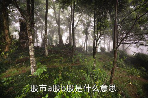 滬市a股是什么意思，什么是A股