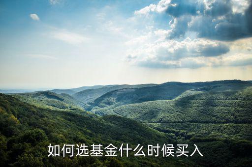 一只基金什么點(diǎn)買(mǎi)入好，我想買(mǎi)點(diǎn)基金哪一種比較好