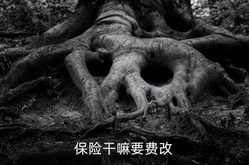 什么是費(fèi)改產(chǎn)品，移動(dòng)營(yíng)業(yè)廳不能由用戶(hù)老產(chǎn)品轉(zhuǎn)換成當(dāng)前產(chǎn)品什么意思