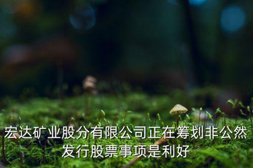宏達(dá)礦業(yè)什么重大事項(xiàng)，請教600687停盤說是因?yàn)楹藢?shí)公司相關(guān)重大事項(xiàng)這個(gè)重大事項(xiàng)有知