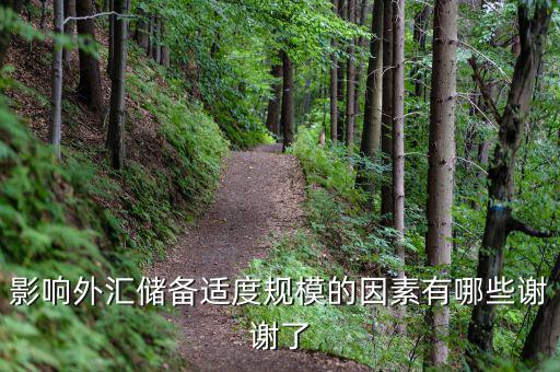 什么樣的外匯儲備規(guī)模是合理的，我國的外匯儲備規(guī)模是否合理