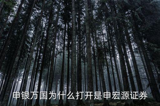 申銀萬國(guó)為什么打開是申宏源證券
