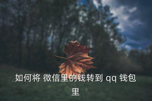 如何將 微信里的錢(qián)轉(zhuǎn)到 qq 錢(qián)包里