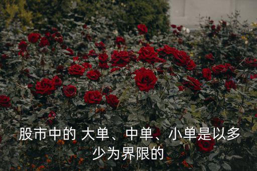  股市中的 大單、中單、小單是以多少為界限的