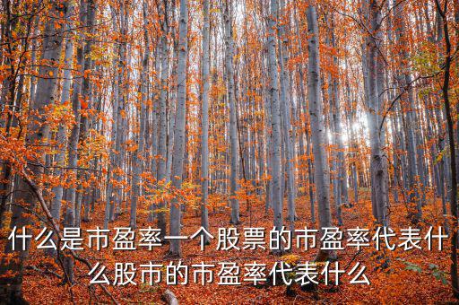 平均市盈率說明什么，什么是市盈率一個股票的市盈率代表什么股市的市盈率代表什么